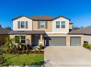 211 Rain Berry Ave, Ruskin, FL 33570