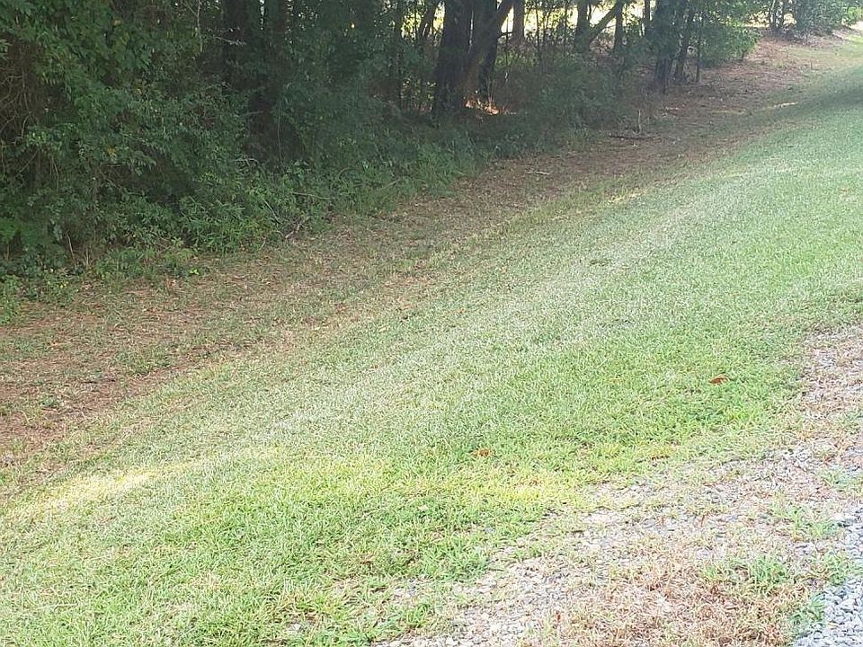 2nd image of 187 Marjane Dr