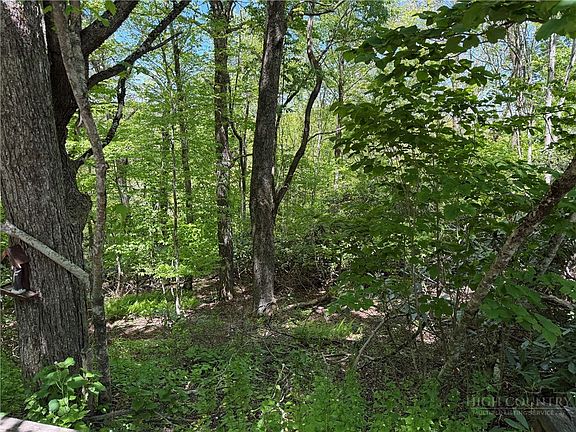 2nd image of TBD Blackberry Lane