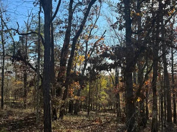 216 Anthemis Rd, Sparta, GA 31087