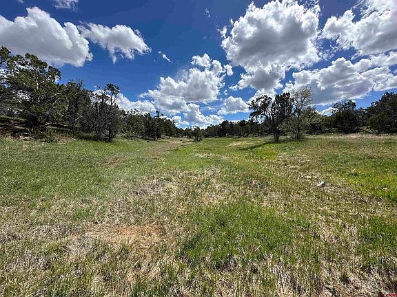 3rd image of 37838 Polson Road