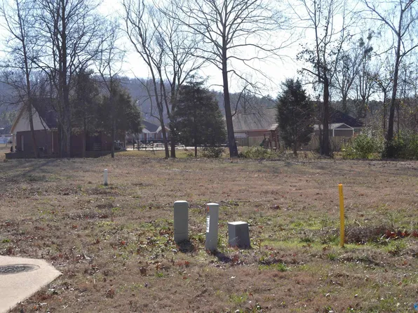 365 Amber Way, Decatur, AL 35603