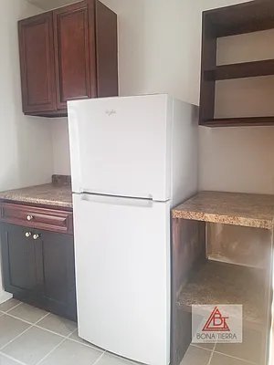 Rented by Bona Tierra | media 12