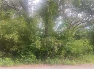 NE 32nd St Lot 2, Silver Springs, FL 34488