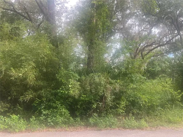 NE 32nd St Lot 2, Silver Springs, FL 34488