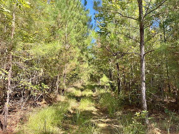 3rd image of Ironweed Rd