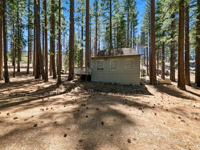 40 Shay Creek Rd, Markleeville, CA, 96120