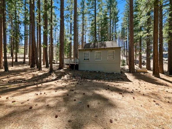 40 Shay Creek Rd, Markleeville, CA 96120