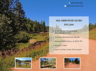 169 Arrowhead Rd, Florissant, CO 80816