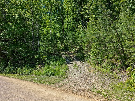 4th image of 0 Mayberry Prong Rd