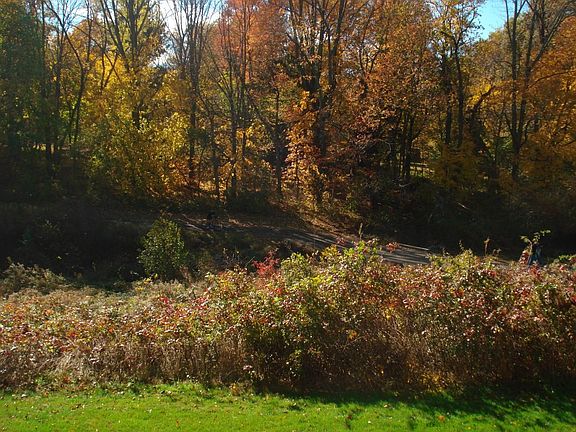 View from deck (fall), backs to stream & walking trail
