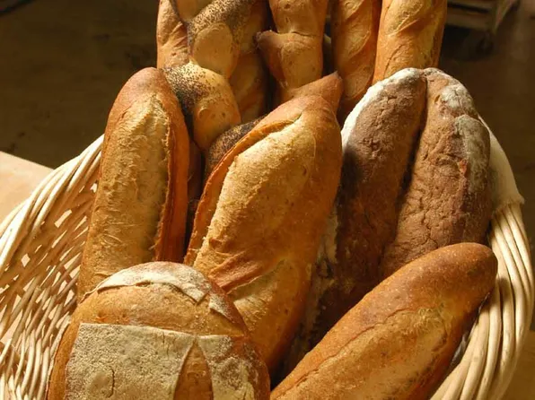 252 Crane Rd, Renick, WV 24966