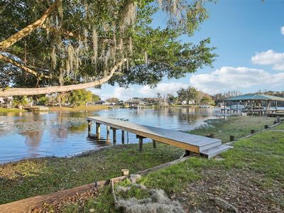 3120 Pine Shadow Dr, Land O Lakes, FL, 34639