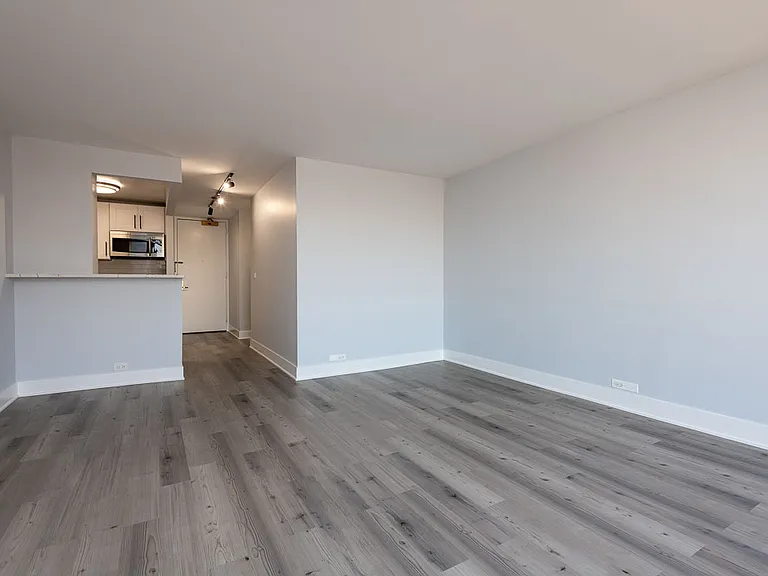 2650 N Lakeview Ave #1003 — Photo 5