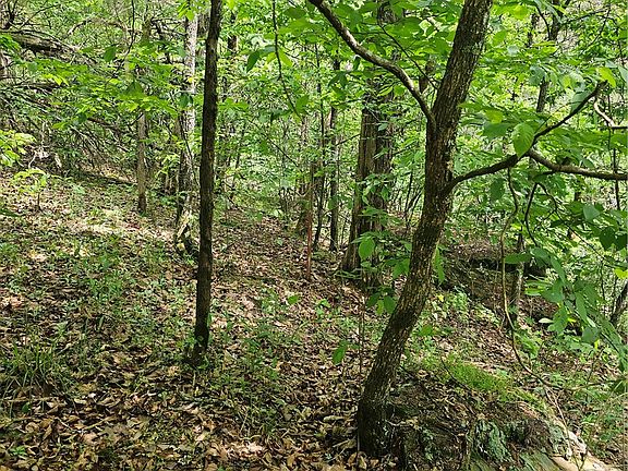 3rd image of 36059 Highway 164