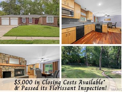 3680 Pyrenees Dr, Florissant, MO, 63033