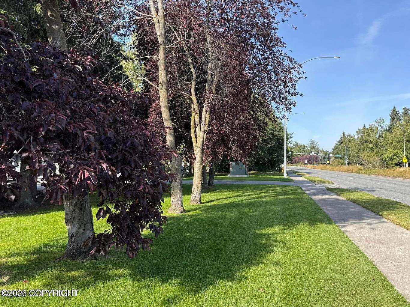 2 bed, 1.5 bath, 896 sqft, $1,550 — Photo 3