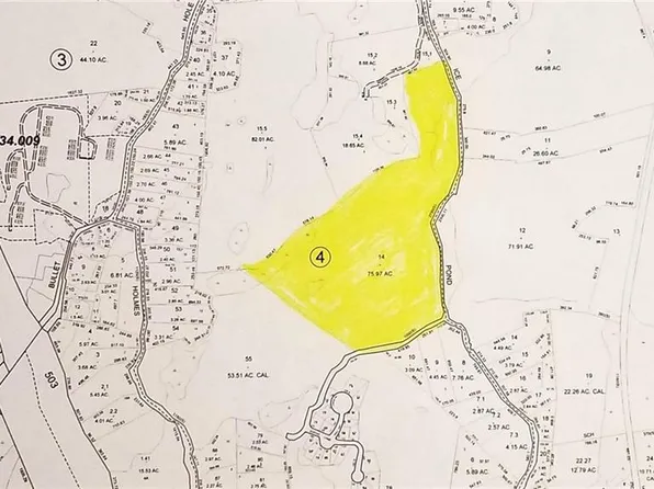 Ice Pond Rd, Patterson, NY 12563