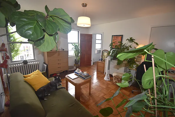 Rented by Bedford & Jane | media 11