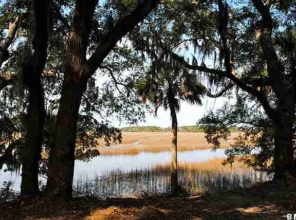 2nd image of Tbd Sea Island Parkway Street