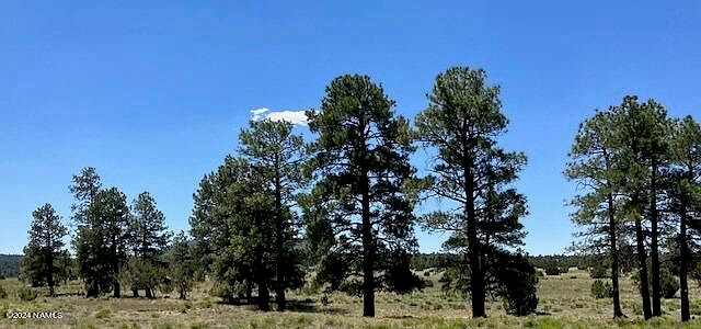 1st image of 5303 N Red Mountain Rd