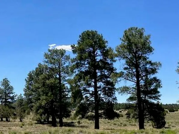 5303 N Red Mountain Rd, Williams, AZ 86046