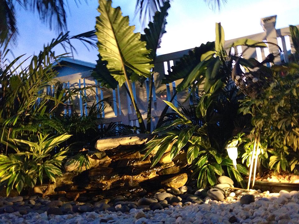 Backyard tropical landscape