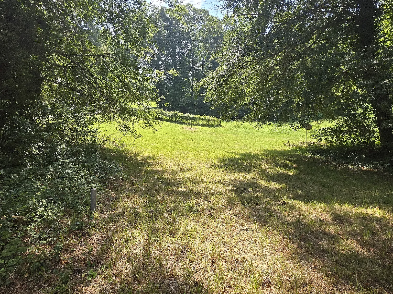 4 bed, 1528 sqft, $2,095 — Photo 4