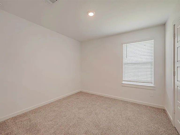 1018 Fringed Bluestar Dr — Photo 28