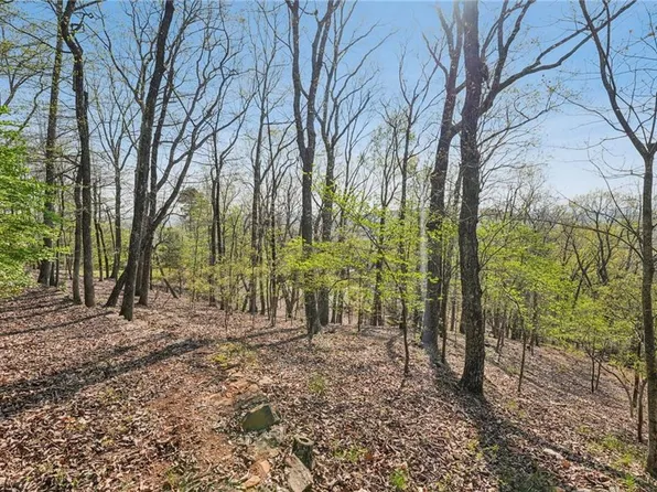8240 Cox Mountain Dr #8240, Jasper, GA 30143