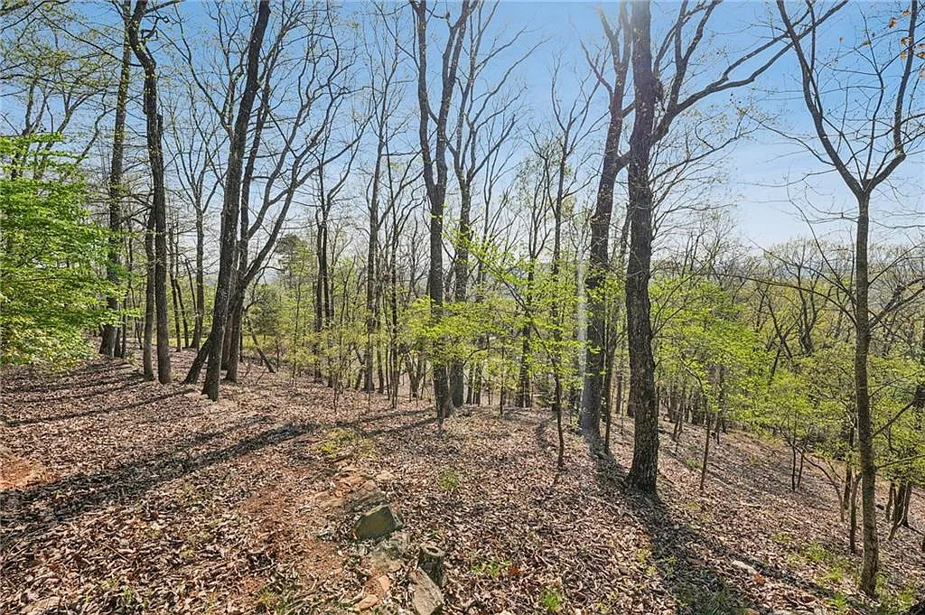8240 Cox Mountain Dr #8240 photo 1