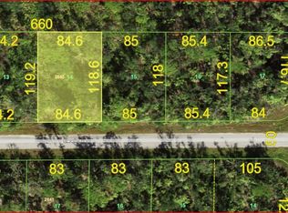 14232 Darwin Ave, Pt Charlotte, FL 33953