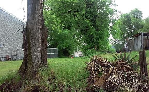 5th image of 533 Mosby St