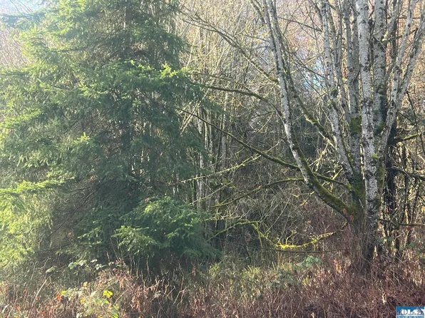 9999 Elwha River Rd, Pt Angeles, WA 98363