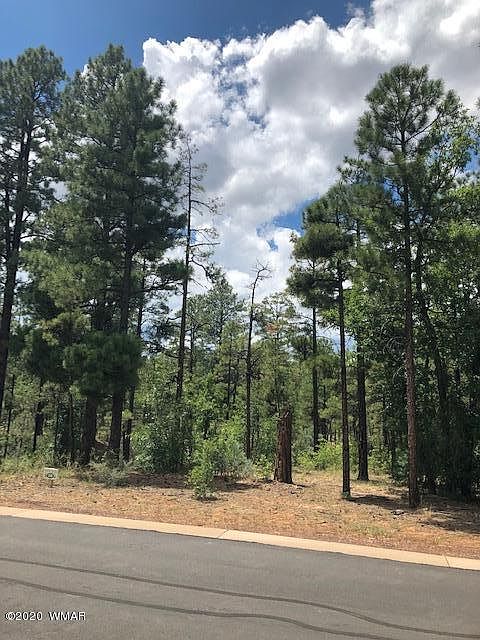 2nd image of 1781 W Snow Creek Loop