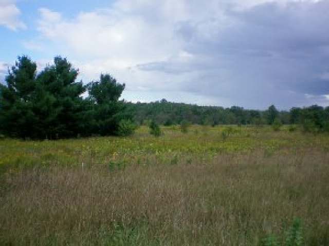 1st image of 55 On Hwy