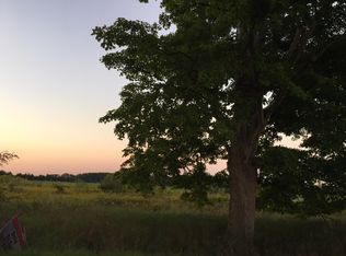 7165 E Colony Rd, Elsie, MI 48831