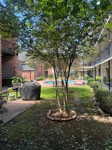 1 bed, 1.0 bath, 535 sqft, $1,250 — Photo 4