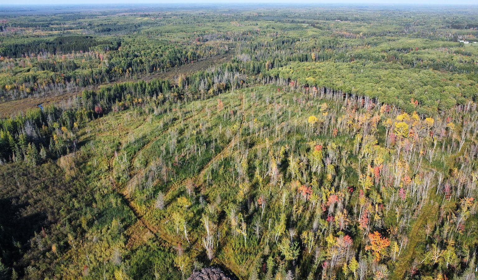 Township Road 5743, Alborn, MN 55702 MLS 6110791 Zillow