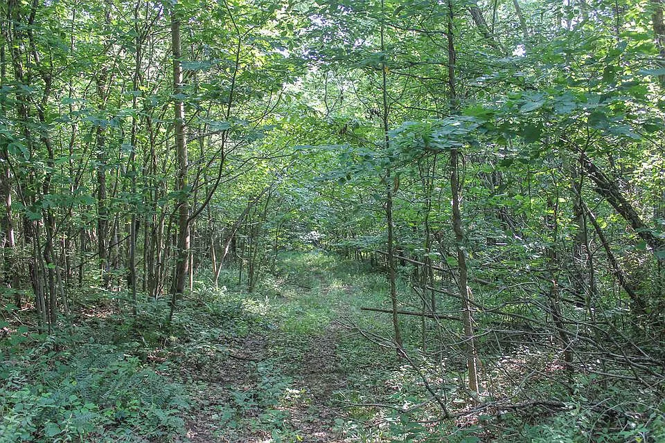 0 Minnie White Rd photo 1