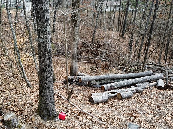 3rd image of 111 Scenic Dr Lot 26