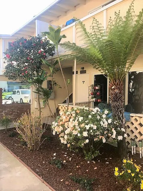 Garden Facing Street view.