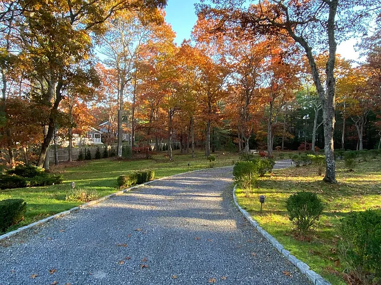 Bull Path — Photo 48