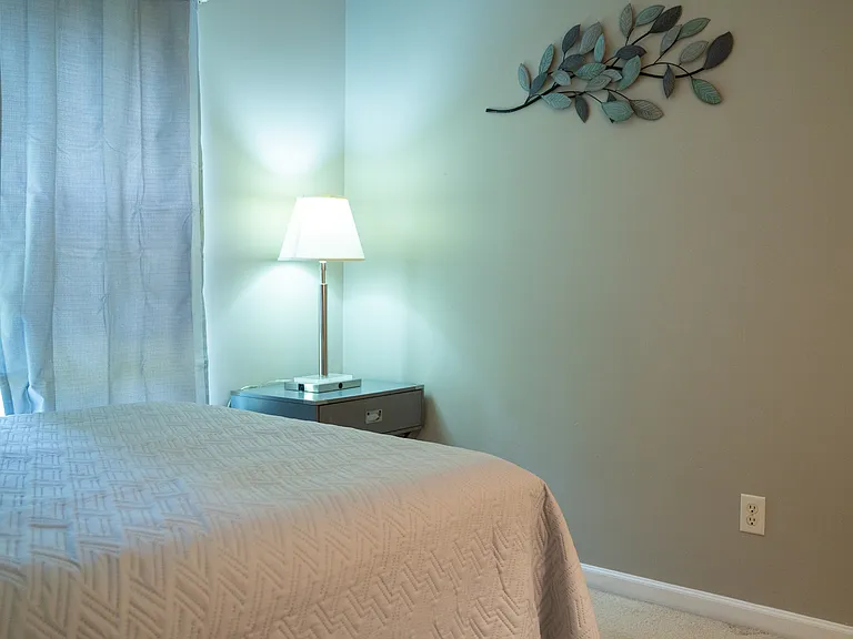 5320 Starflower Dr — Photo 40