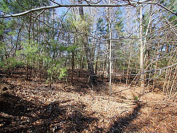 4th image of 233 Holly Hills Dr