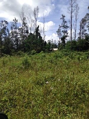 1st image of Lilikoi Dr Lot 22