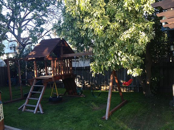 Playset in Backyard