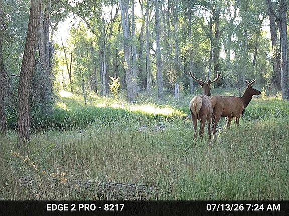 4th image of County Road 332