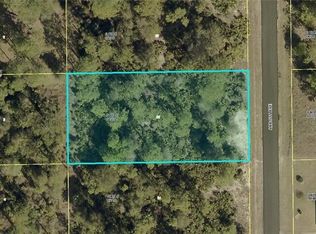 119 Abbott Ave, Lehigh Acres, FL 33936