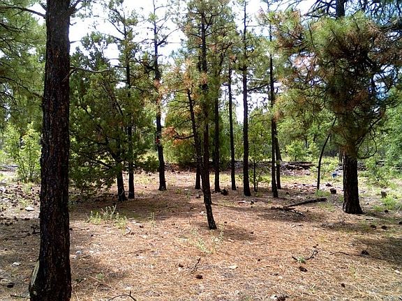 2nd image of 2501 Chiricahua Dr